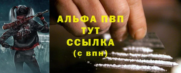 a pvp Новозыбков