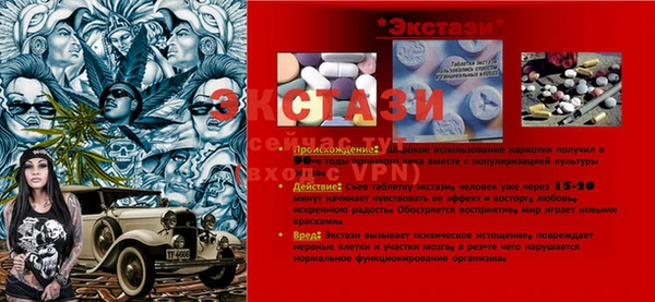 a pvp Новозыбков