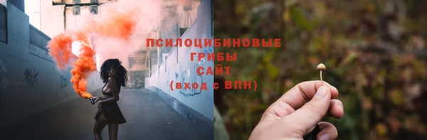 не бодяженный Новодвинск