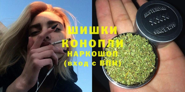 a pvp Новозыбков