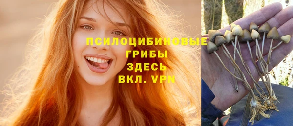 бошки Новокубанск