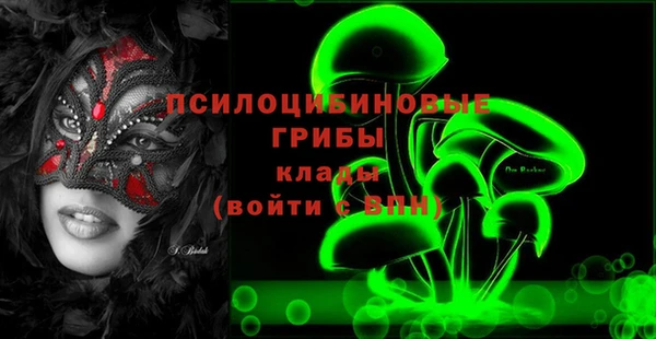 a pvp Новозыбков