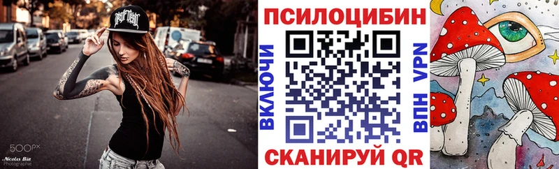 дарнет шоп  Тихвин  Псилоцибиновые грибы Magic Shrooms 