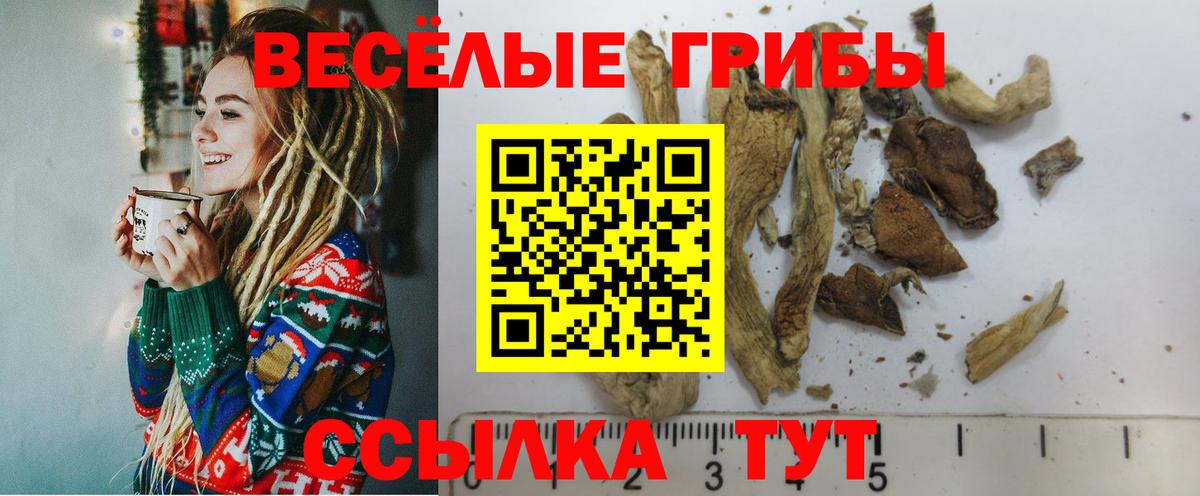 Псилоцибиновые грибы ЛСД Тихвин